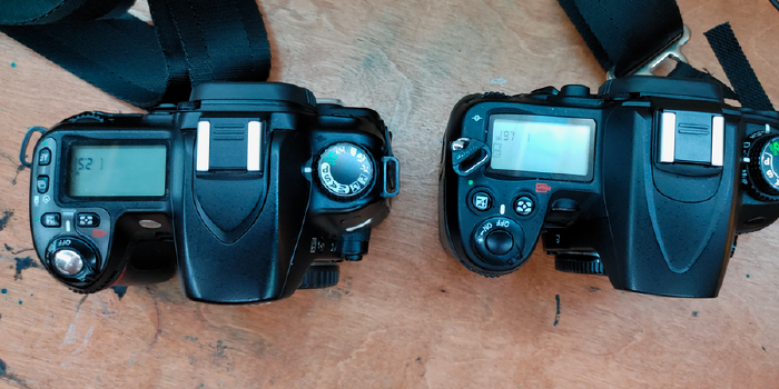 Upgrading Cameras: D80 to D7000